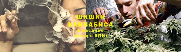 MESCALINE Аркадак