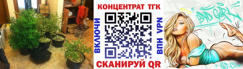 хочу   Азнакаево  ТГК THC oil 
