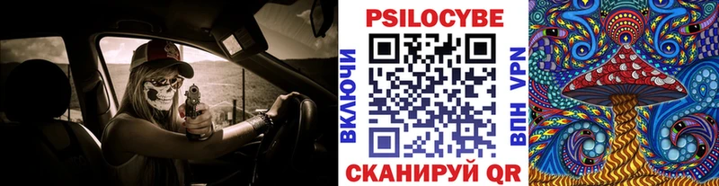 где купить наркоту  кракен ONION  Галлюциногенные грибы Psilocybine cubensis  Азнакаево 